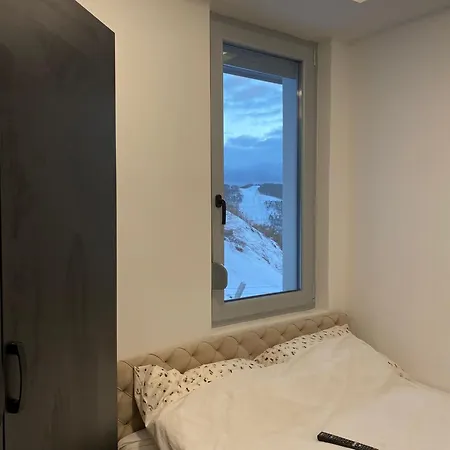 Divci * Divcibare